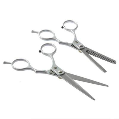 2 X Professional Barber Hair Cutting Thinning Scissors Shear