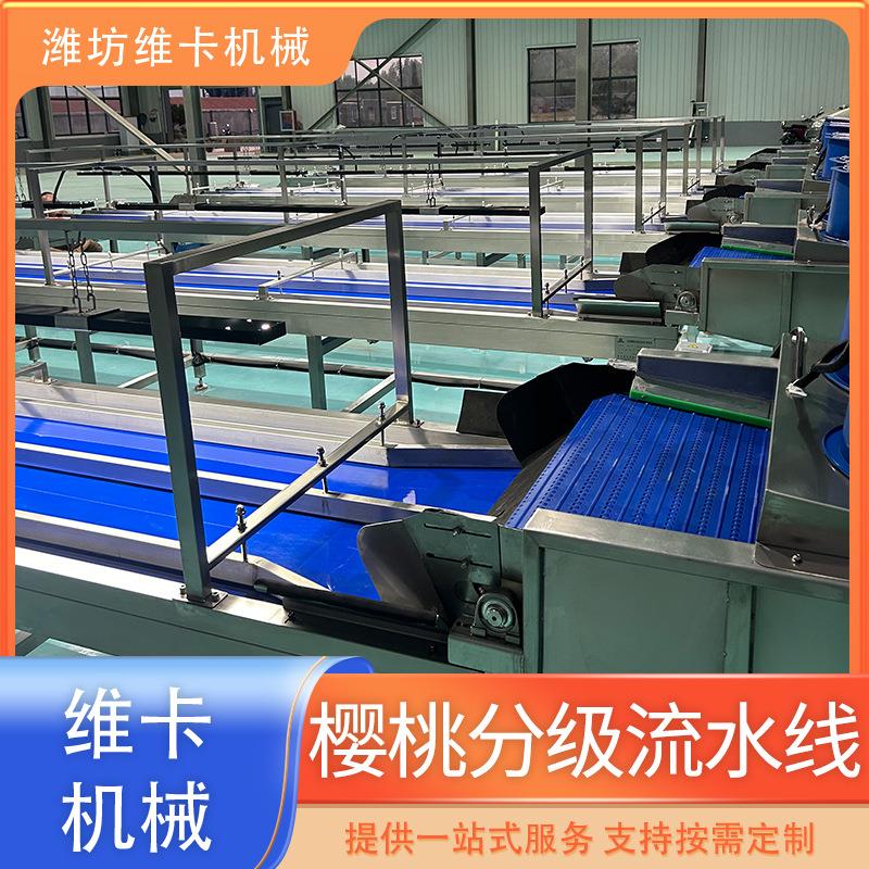 小柿子直径分拣机樱桃直径分级机车厘子大小选果机高产量水果
