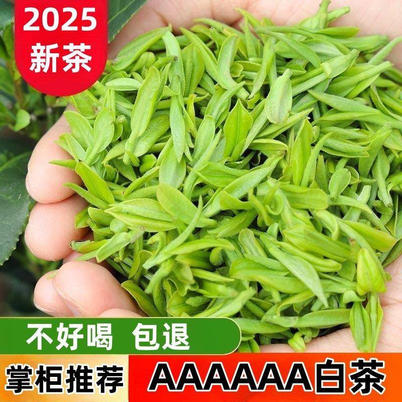 安吉白茶【一斤装】2025新茶特级白茶珍稀绿茶明前春茶茶叶自己喝