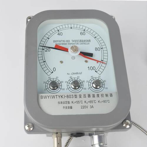 变(WTYK)BW器油面温控制器(WT压YK)B度WY-082TH 温度控制器BWY-80