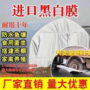 膜黑白塑料布白养殖膜反光绿大棚膜食用菌隔热膜黑白加厚防晒