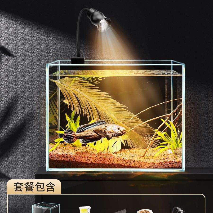 SHF南美造景鱼缸滤透高加厚金晶五器线超过白玻璃雷龙鱼方缸
