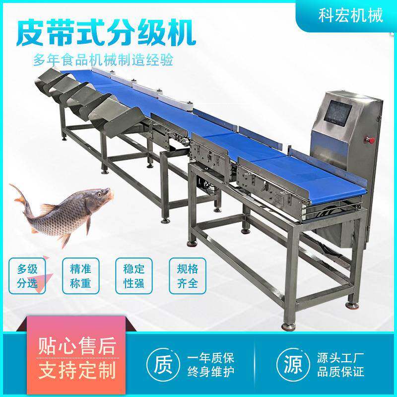 皮带式重量分选机 鲤鱼皮带分选 智能分拣 海鲜生擒智能等级分级