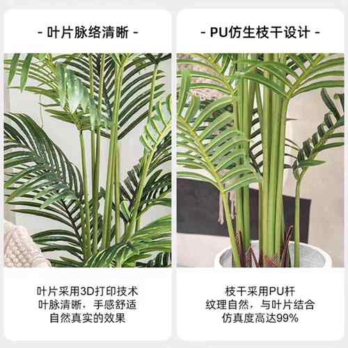仿真散奢葵轻凤尾葵假尾树室内客厅装散尾葵摆件落地造景仿生绿植