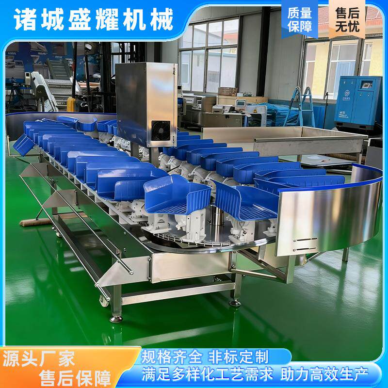 5级鸭胗克重分拣机 自动称重海参重量分选称白菇鱼重量分级机盛耀 - 实物图