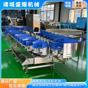 大虾克重分选机5级苹果大小选果机鸭胗鸭翅重量分级机盛耀