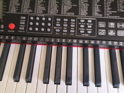 艾琴电钢琴怎么样?入手三个月不吹不坑说缺点?内幕揭秘