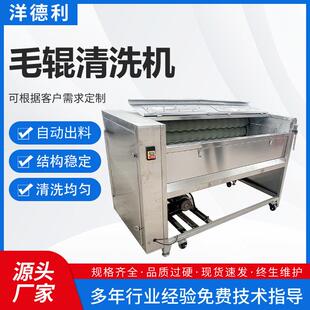 土豆芋头毛辊清洗设备马铃薯毛辊脱皮机全自动净菜前处理机器