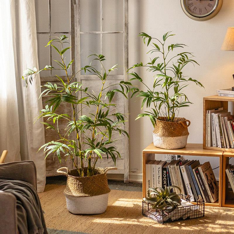 假HH6049彷饰真绿色植物金葫芦吊钟麻木室内盆景绿植彷真竹子装醉
