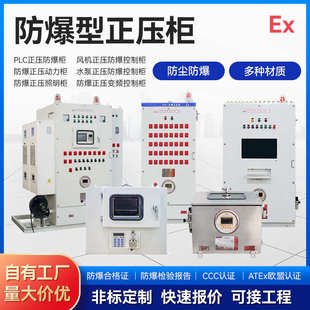 防爆柜不锈钢碳钢正压柜防爆正压柜通风变频器散热IIC控制柜粉尘