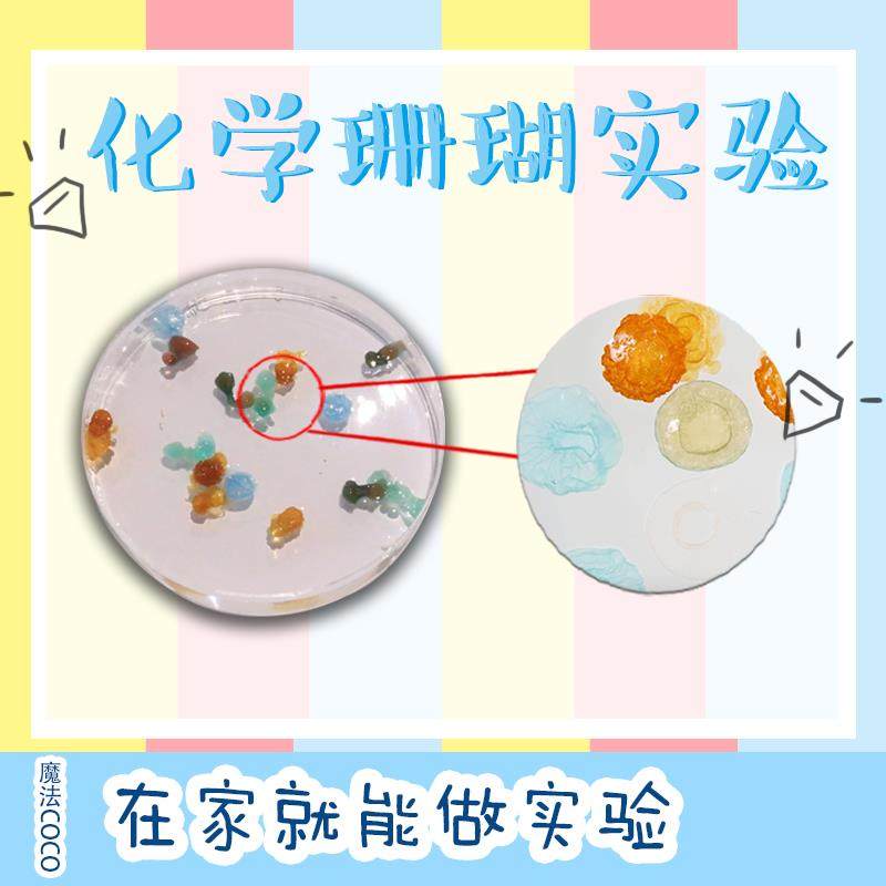 化学水母化学色素颜色彩虹小实验小学生科学教具材料好玩科学套装