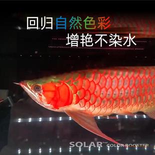 尼奥SOLAR雷龙鱼专用灯日光发色灯防水灯LED鱼缸灯金鱼增艳增色