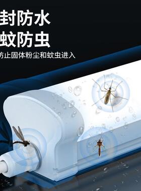 IP防水防爆65灯管爆三防灯L一体化防水防尘防房日光灯冰库工厂ED