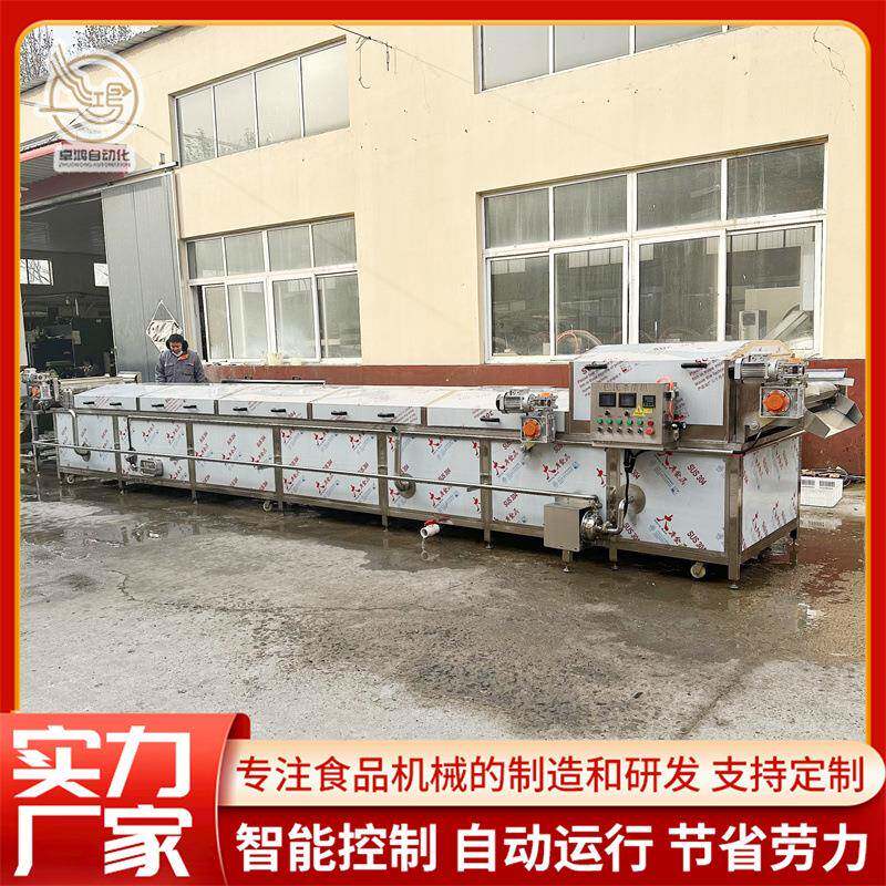 自动控温即食藕片加工设备大型莴苣漂烫预煮机商用青刀豆漂烫机