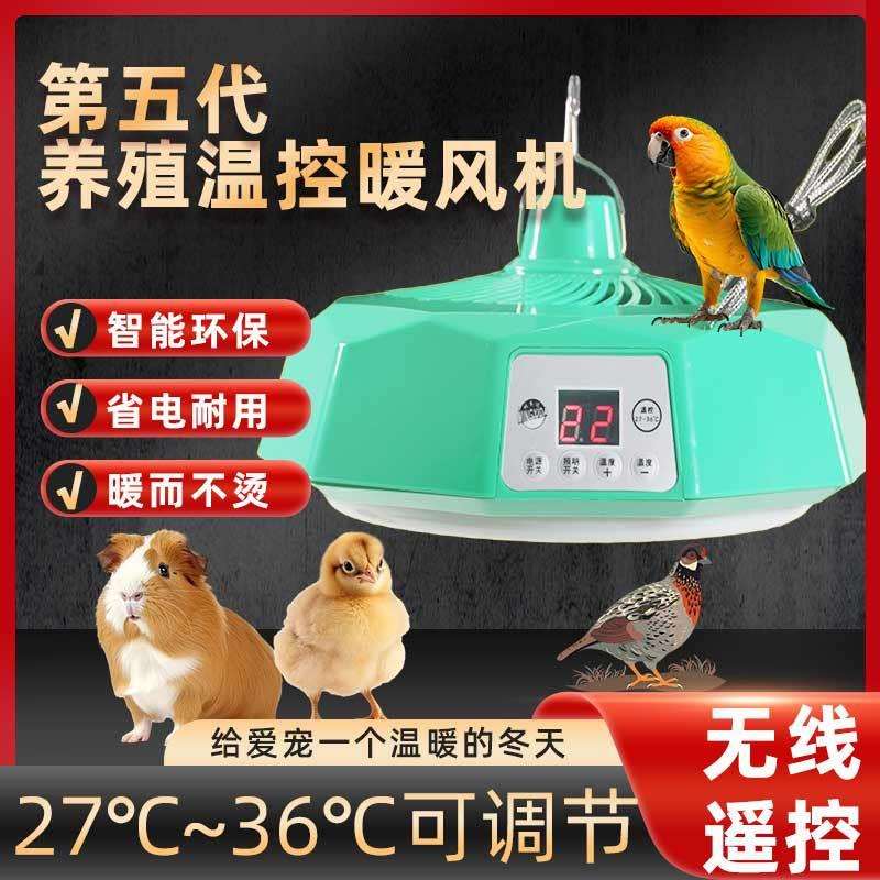自动控温大功率宠物保温灯恒温小鸡小鸭养殖热风机芦丁鸡取暖加热