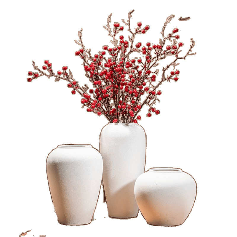 白色陶瓷花瓶陶罐多肉花盆简约现代花器磨砂坛子插干花客厅摆件