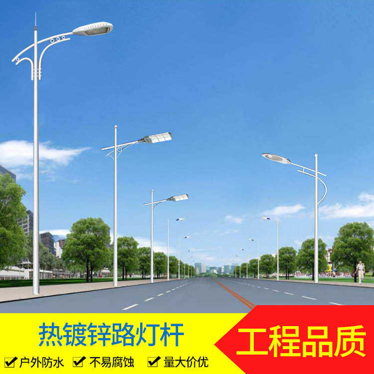 路灯单头双头3米6米8米10米12米15米超亮新农村建设小区道路LED灯