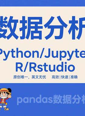 rstudio代做 R语言代做 r辅导 python代做jupyter 计量统计stata