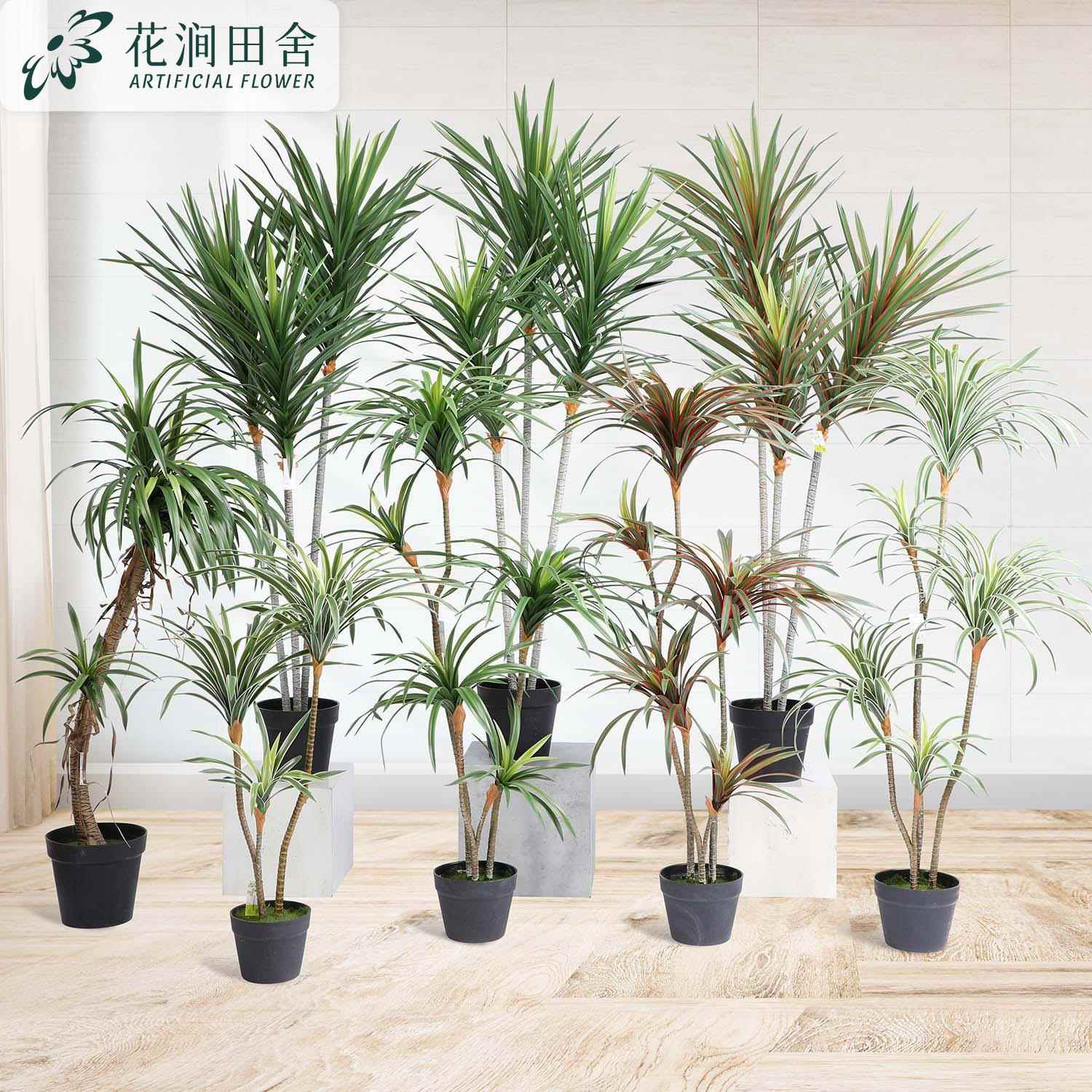 仿龙血铁树绿植盆造栽饰装人造热TY-21062带植物景观景假树木龙真
