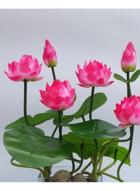 鱼缸里面的装饰品仿真水草荷花莲子造景居家摆设塑料假荷花莲花