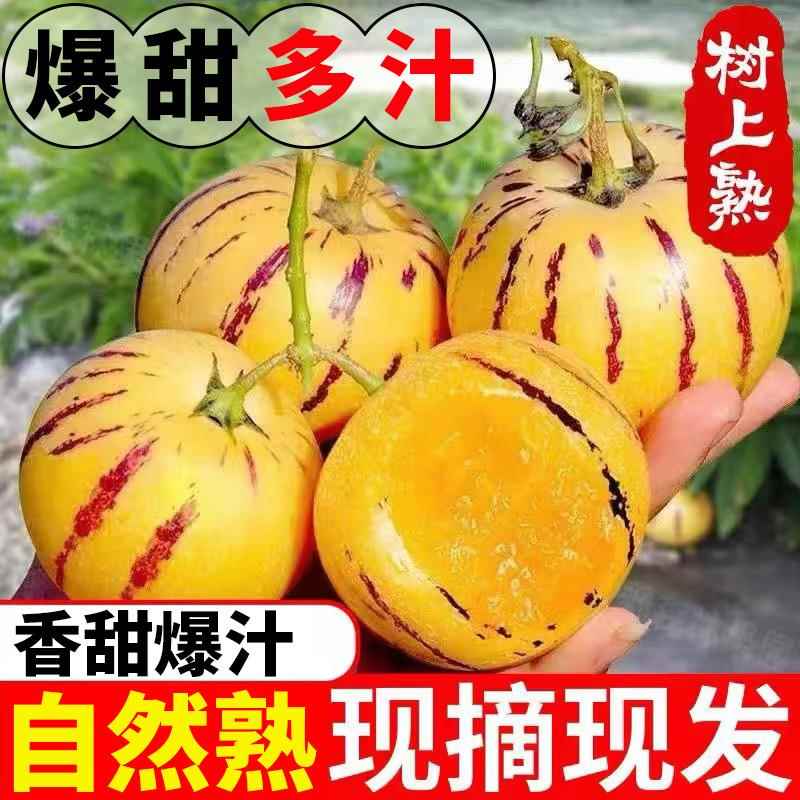 云南石林人参果新鲜农家现摘现发5斤黄肉黄心七彩大圆果整箱包邮