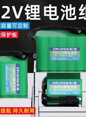 德力普12V锂电池大容量18650锂电池组监控LED灯带12伏锂电电池3串
