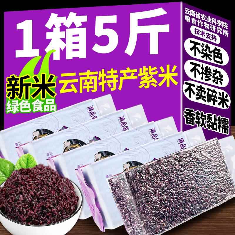 紫米云南墨江紫糯米正宗紫血糯黑米特产五谷杂粮商用煮粥饭团新米