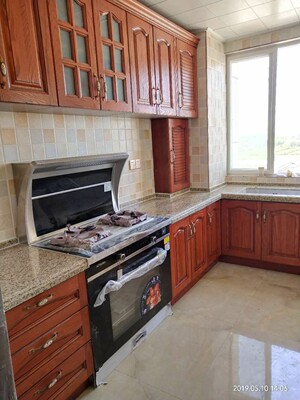 奥田M3集成灶坑不坑用？质量坑不坑?近期想买