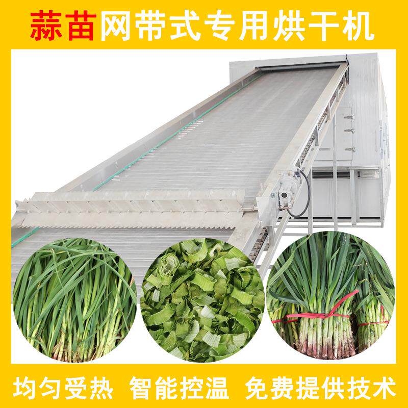 蒜苗烘干机空气能全自动热泵大蒜叶网带式烘干机新鲜蒜叶烘干设
