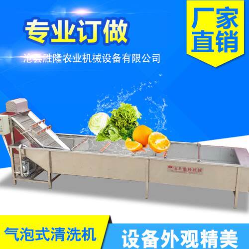大枣圣女果苹果气泡清洗机多功能气泡臭氧清洗节能高效厂销
