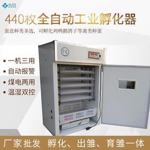 440枚鸡蛋小型孵化机鸡苗家用孵化器土鸡恒温孵蛋器egg incubator
