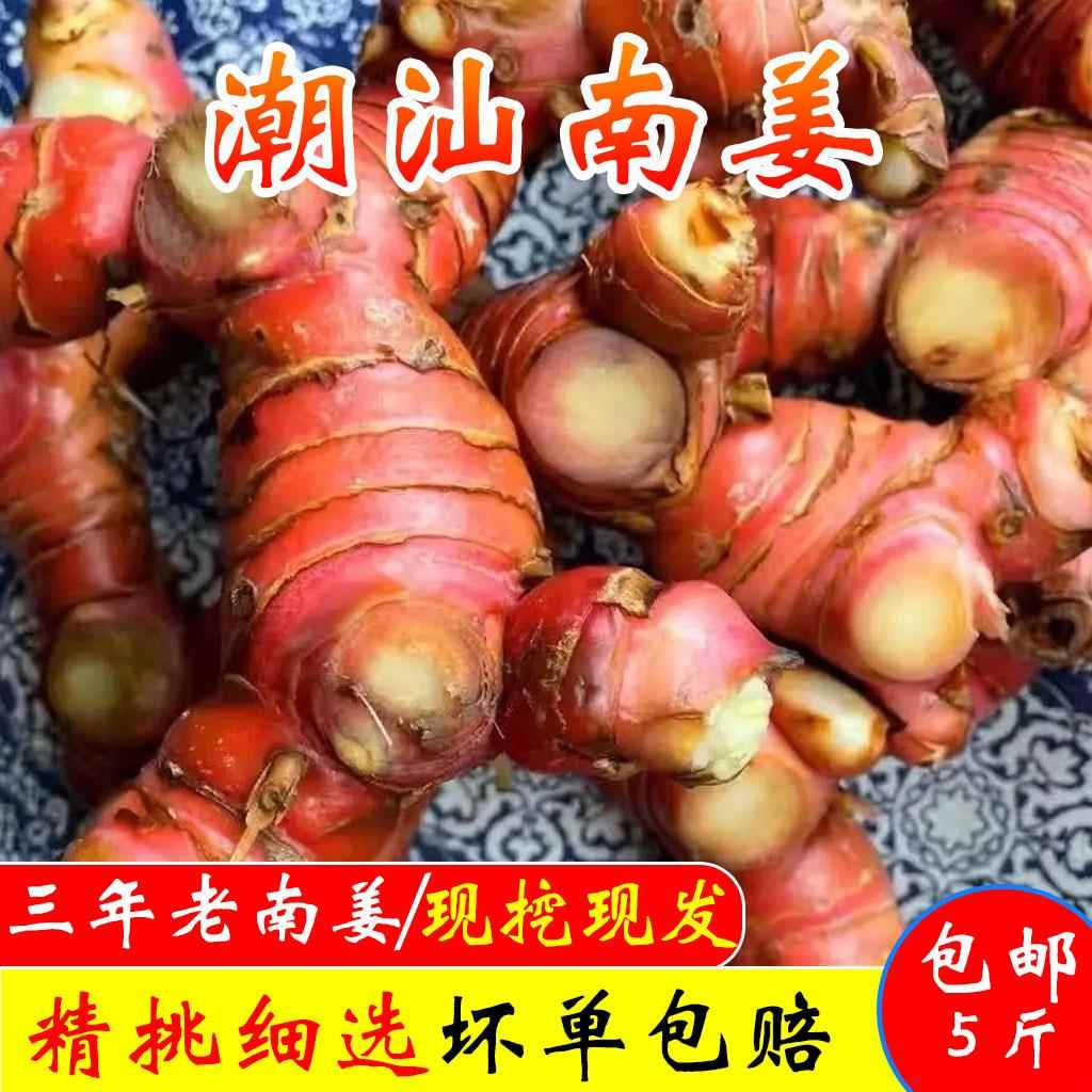 南姜新鲜潮汕老姜现挖现发正宗山姜卤味炖羊肉火锅去膻提味调味品