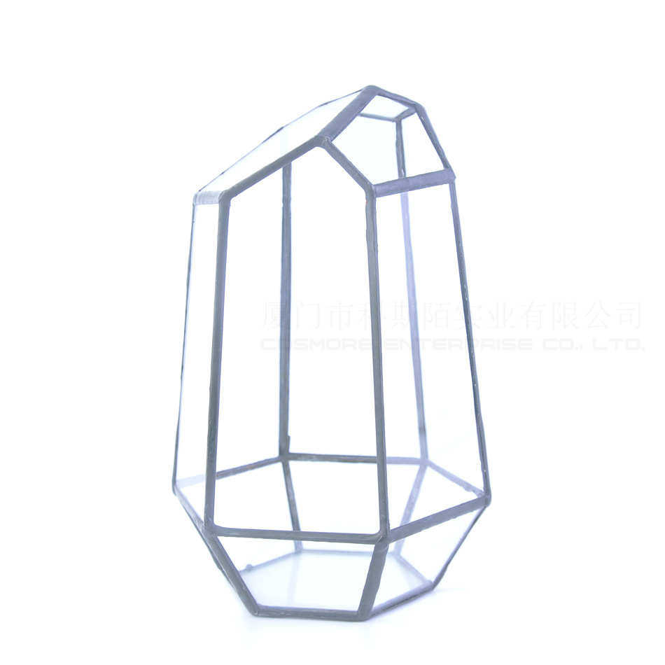 六面苔藓肉生态 透明创意玻璃瓶花盆切割小景观花房厂家直销微多,鲜花速递/花卉仿真/绿植园艺,花盆,淘宝优惠券,粉丝福利购,淘宝优惠卷