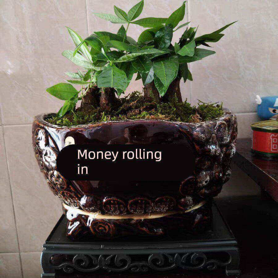 彷古金字元宝花盆陶瓷盆景盆中国风招财花盆发财树兰花红掌陶瓷盆