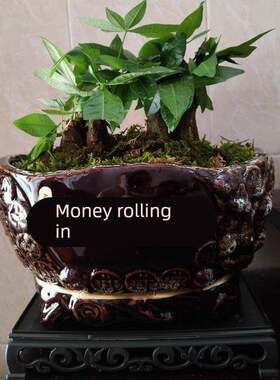 彷古金字元宝花盆陶瓷盆景盆中国风招财花盆发财树兰花红掌陶瓷盆