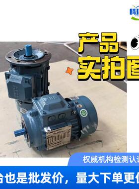 电机M2BAX系列E2/3/40.18-35k5w,H71-H355,/B3/B5B35,910392/4/6P