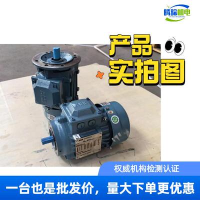 电机M2BAX系列E2/3/40.18-35k5w,H71-H355,/B3/B5B35,910392/4/6P