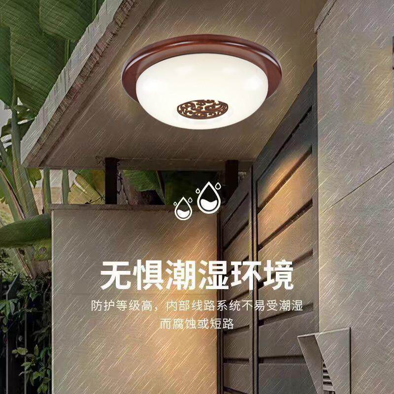 家装实木户外阳台过道走廊玄关led2023新款中式入户中国风吸顶灯