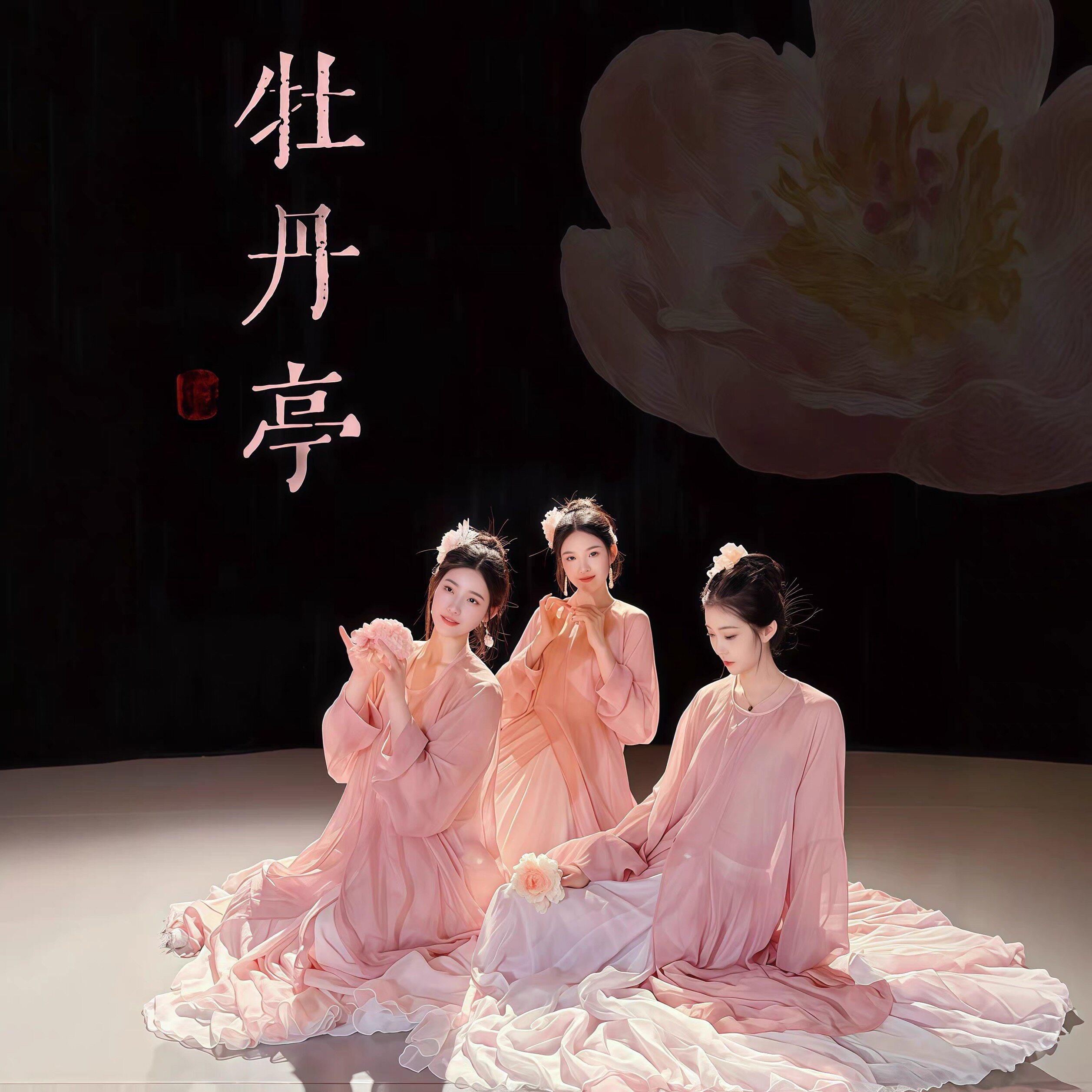 《牡丹亭》套装烫金长圆领 | 汉风雪纺长版圆领开衫长袍长衫中式
