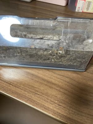 科沃斯地宝T8怎么样真的有像传得哪么神乎吗？