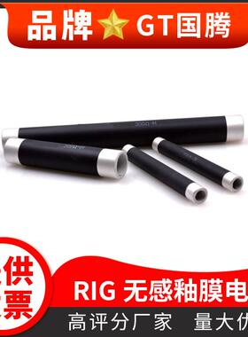 RIG RI8黑色空心高能高频大功率釉膜无感电阻50W100W200W300W500W