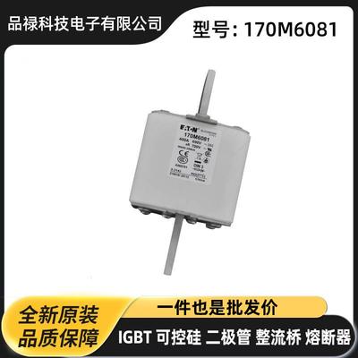 170M6081 170M6148 170M6170 快速熔断器保险丝原厂现货插片式