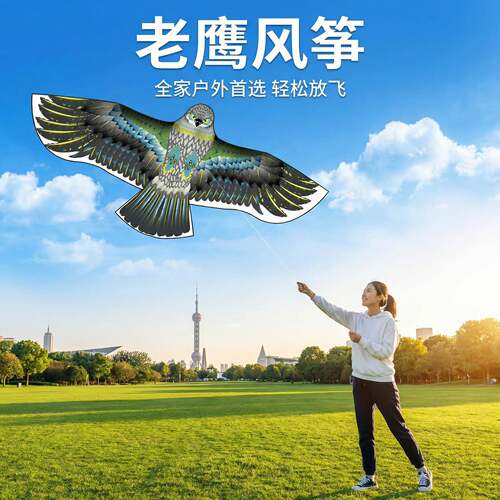 大人专用风筝儿童微风易飞带线盘成人专业级高端2026新款大型老鹰