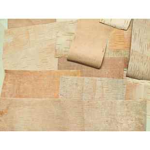 角弓装饰用品真桦树皮