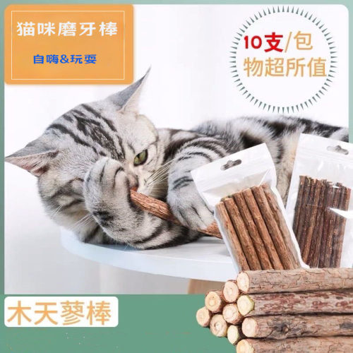 宠物用品玩具清洁宠物智能玩具
