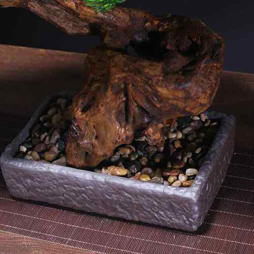 新中厅式仿真迎客松客摆件面绿植假盆景MP00301玄关树罗汉桌松软