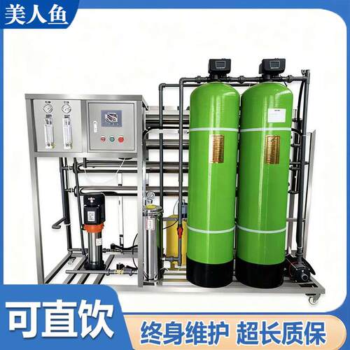 小区饮用水一体化二级RO反渗透净水处理设备农村软水前置过滤器