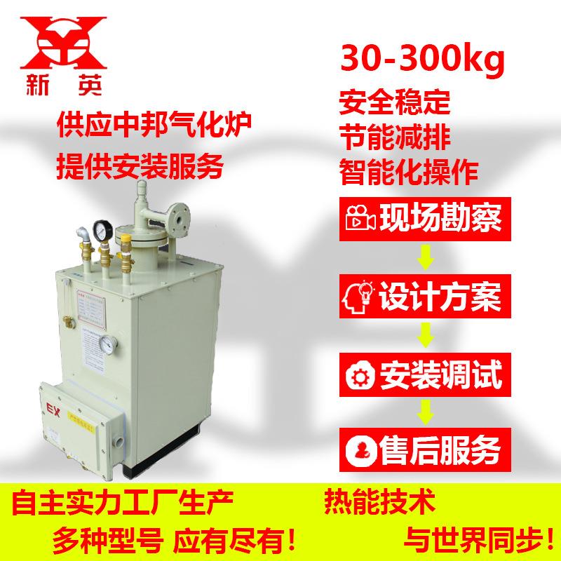 供应吴江上海苏州液化气气化炉液化气化器30-200kg气化炉销售
