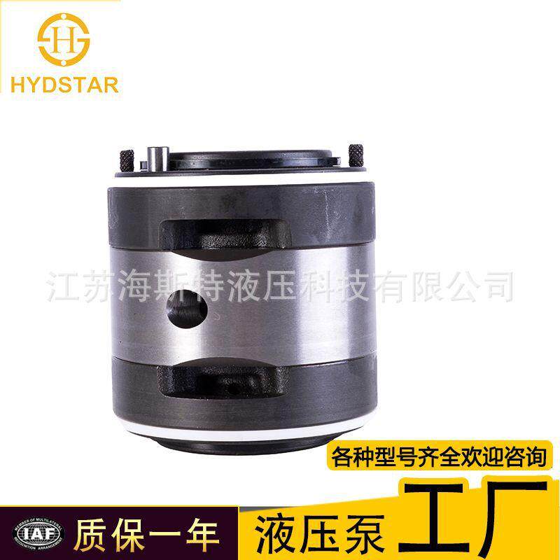 叶片泵泵芯 pfe-31044 pfe-41045 pfe-51090液压泵维修件