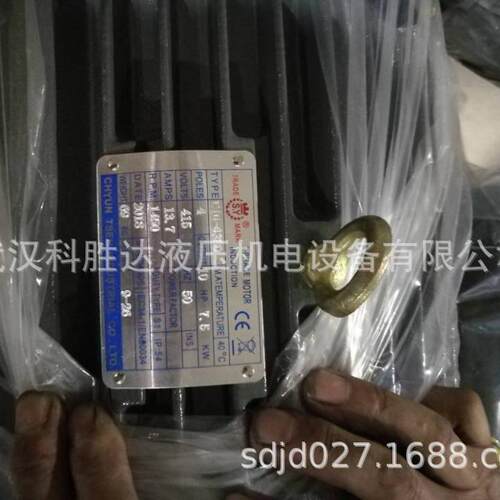 SY群策电机10HP-4P/7.5W电机 C10-43BO三相卧式内插式 无轴电机